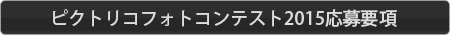 ピクトリコ フォトコンテスト 2015 募集要綱