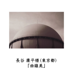フォトコン2010　自由部門　GEKKO