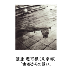 フォトコン2010　自由部門　GEKKO