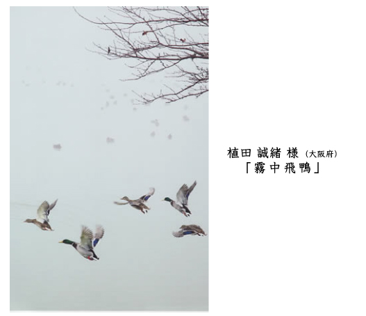 フォトコン2010　ネイチャー　グランプリ