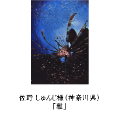 フォトコン2010　ネイチャー　ピクトリコ賞