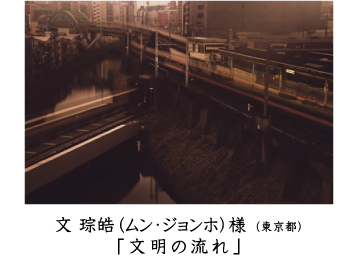 フォトコン2010　自由部門　秀作1　文様