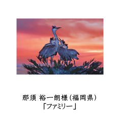 フォトコン2010　ネイチャー　ピクトリコ賞