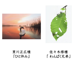 フォトコン2010　ネイチャー部門　入選