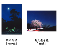フォトコン2010　ネイチャー部門　入選