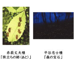 フォトコン2010　ネイチャー部門　入選