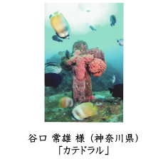 フォトコン　ネイチャー　ピクトリコ