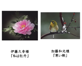 フォトコン2010　ネイチャー部門　入選