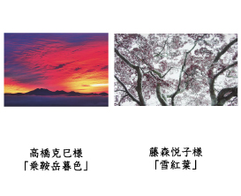 フォトコン2010　ネイチャー部門　入選