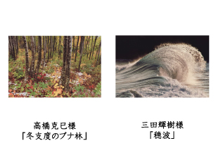 フォトコン2010　ネイチャー部門　入選