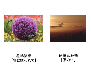 フォトコン2010　ネイチャー部門　入選