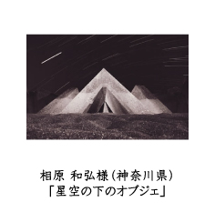 フォトコン2010　自由部門　MPM