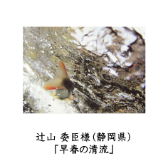 フォトコン2010　自由部門　MPM