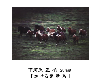 フォトコン2010　ネイチャー　秀作