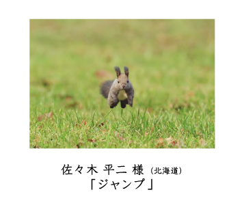 フォトコン2010　ネイチャー　秀作