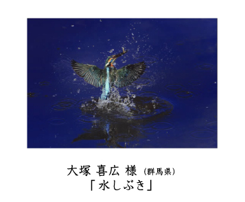 フォトコン2010　ネイチャー　秀作