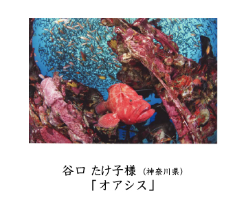 フォトコン2010　ネイチャー　秀作