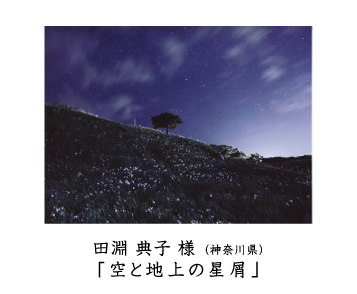 フォトコン2010　ネイチャー　秀作