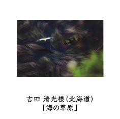 フォトコン2010　ネイチャー部門　GEKKO賞