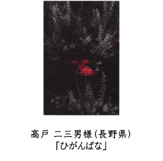 フォトコン2010　ネイチャー部門　GEKKO賞