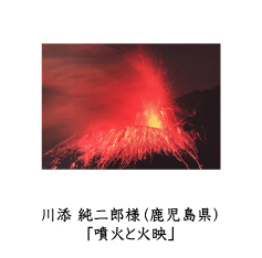 フォトコン2010　ネイチャー部門　GEKKO賞