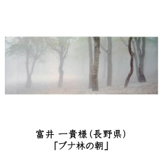 フォトコン2010　ネイチャー部門　GEKKO賞
