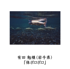 フォトコン2010　ネイチャー部門　GEKKO賞