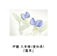 フォトコン2010　ネイチャー部門　GEKKO賞
