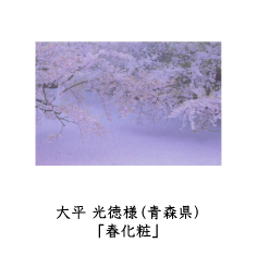 フォトコン2010　ネイチャー部門　三菱製紙賞