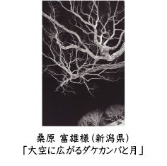 フォトコン2010　ネイチャー部門　GEKKO賞