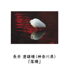 フォトコン2010　ネイチャー部門　三菱製紙賞