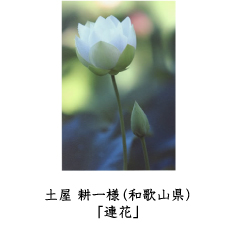 フォトコン2010　ネイチャー部門　GEKKO賞