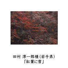 フォトコン2010　ネイチャー部門　三菱製紙賞