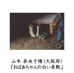自由部門　ピクトリコ賞
