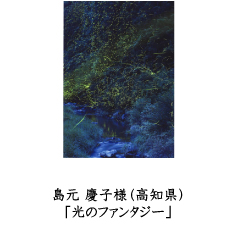 フォトコン2010　ネイチャー部門　三菱製紙賞