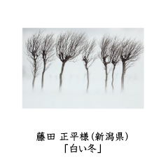 フォトコン2010　ネイチャー部門　三菱製紙賞