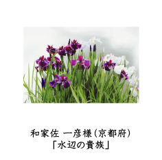 フォトコン2010　ネイチャー部門　三菱製紙賞