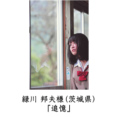 自由部門　ピクトリコ賞