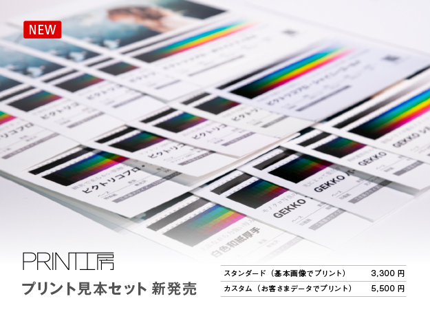 ピクトリコ PICTORICO YPSG-L 100 通販
