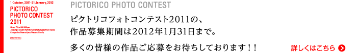 PICTPRICO PHOTO CONTEST ピクトリコフォトコンテスト2011の、作品応募期間は2012年1月31日まで。多くの皆様の作品ご応募をお待ちしております!!
